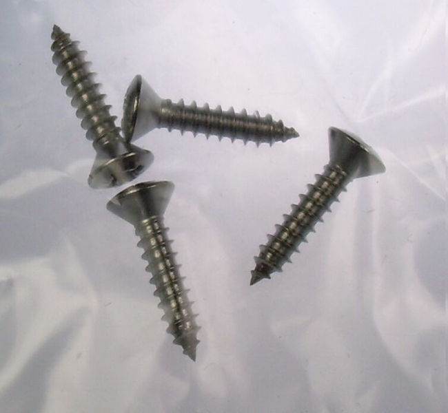 Mk1 Escort Reverse Light Lens Stainless Steel Screws £2.95